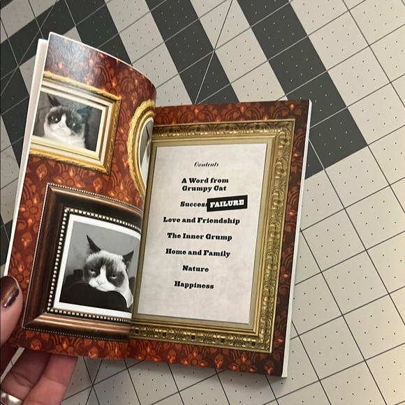 Red and Gold Grumpy Cat book - Picture 8 of 9